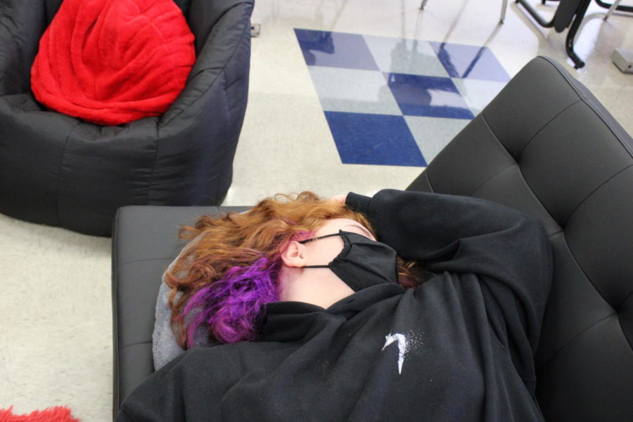 Sophomore Jasmine Zimmerman sleeping peacefully.