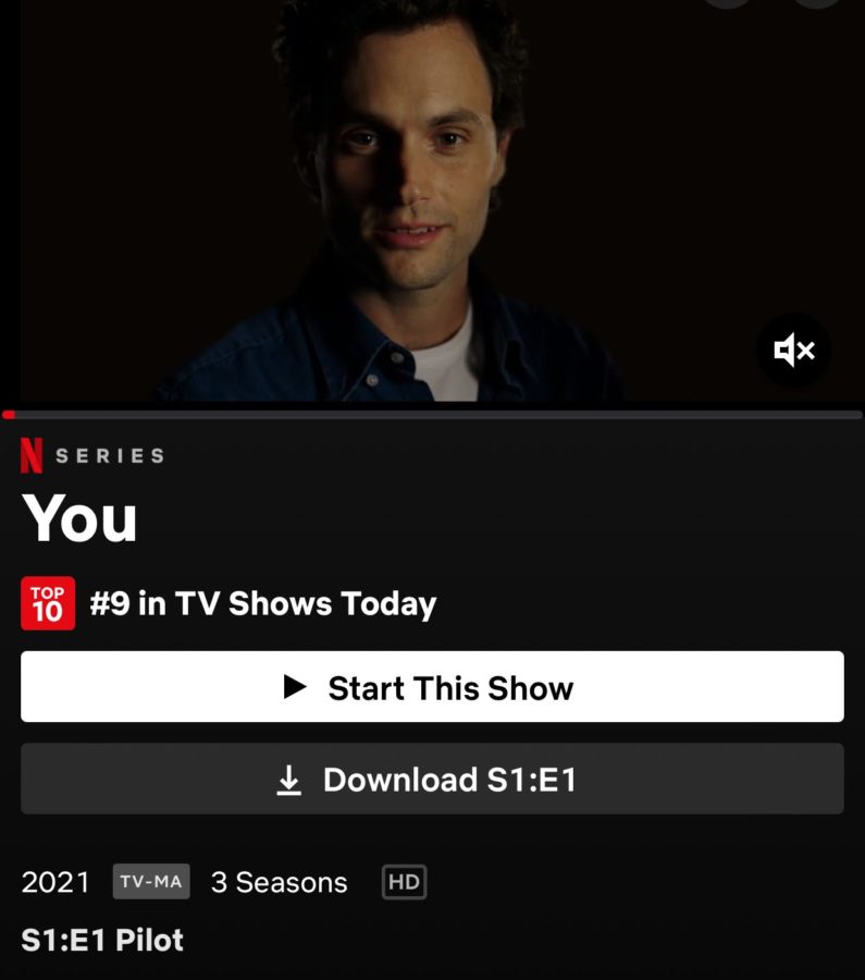 You is a thriller on Netflixs top 10 list. It is a Netflix original, and it just released season three in October. 