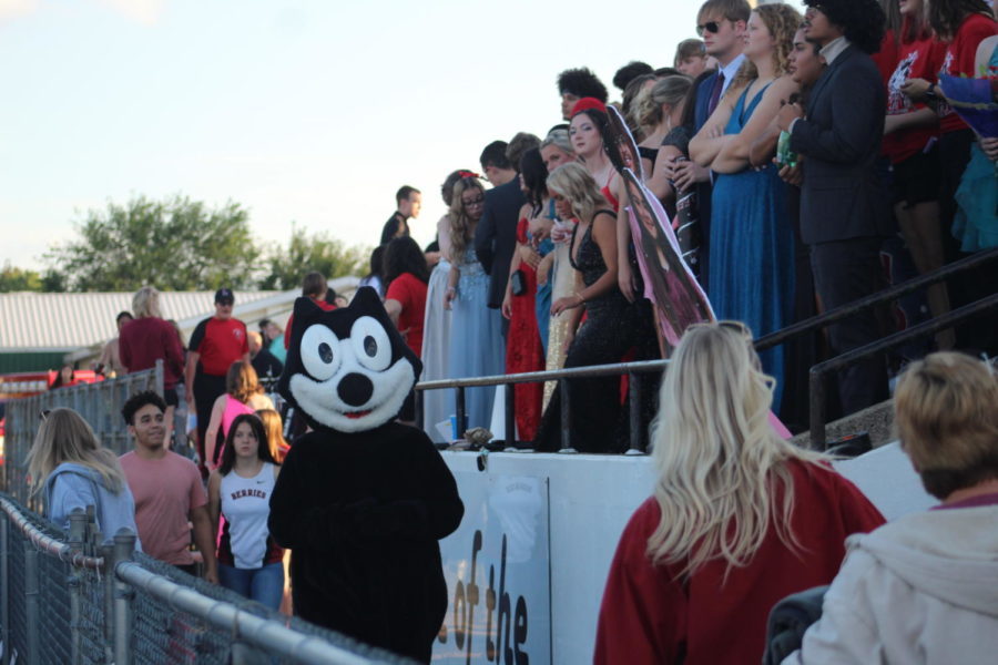 Felix roams the sidelines near the student section at the Homecoming game.