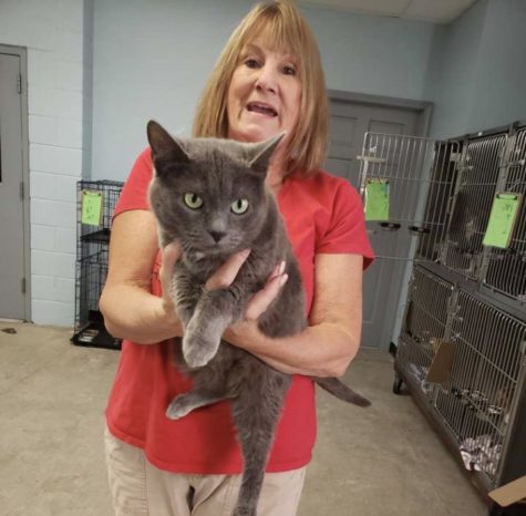 Owner Lisa Terry is holds one of many cats up for adoption at the Cass County Humane Society. 