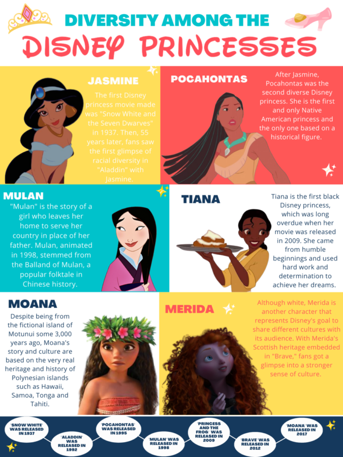 Disney Princess Diversity Infographic