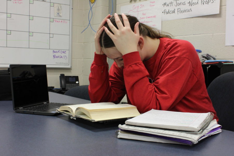 Freshman Goldie Kitchell stresses over an abudance  of homework. 