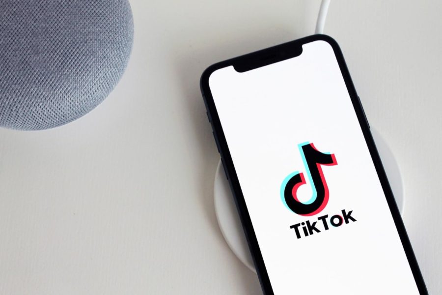 One of the biggest platforms, TikTok is  used daily by millions.