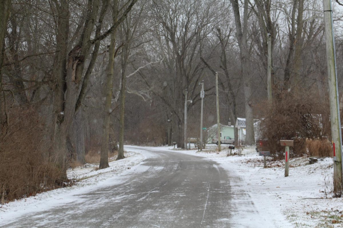 During the wintertime, the entrance of Georgetown Road is a pretty sight. Eagles, cardinals, starlings and crows are usually found in the bare trees, or soaring through the air over the freezing river. The roads were salted and scraped since theres a small community of neighbors.