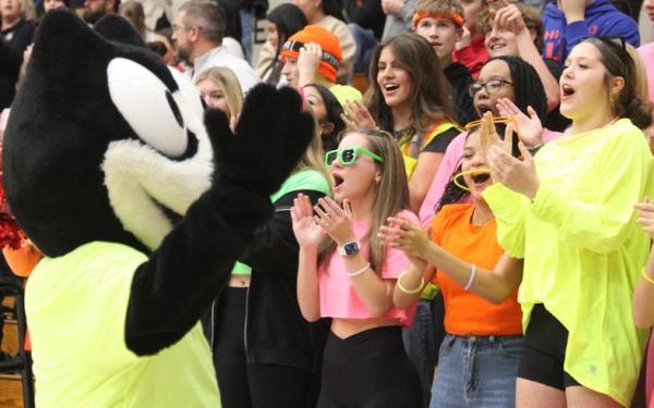 During a home basketball game, LHS mascot Felix entertains the crowd as they cheer. 