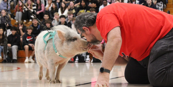 On his knees, math teacher Michael Grenard pulls Piper the Pig in for a smooch.  