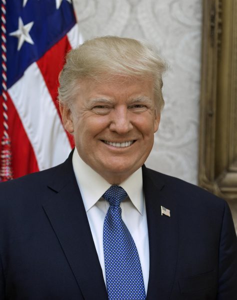 The official portrait of Donald Trump during his first presidential term. (Shaleah Craighead, Public domain, via Wikimedia Commons)