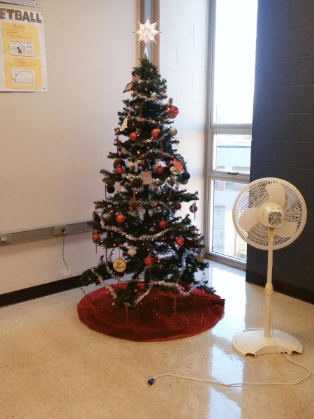 This Christmas Tree is in Linley Whitcraft's room. Decorated nicely with the Logansport Berry colors, red and black.