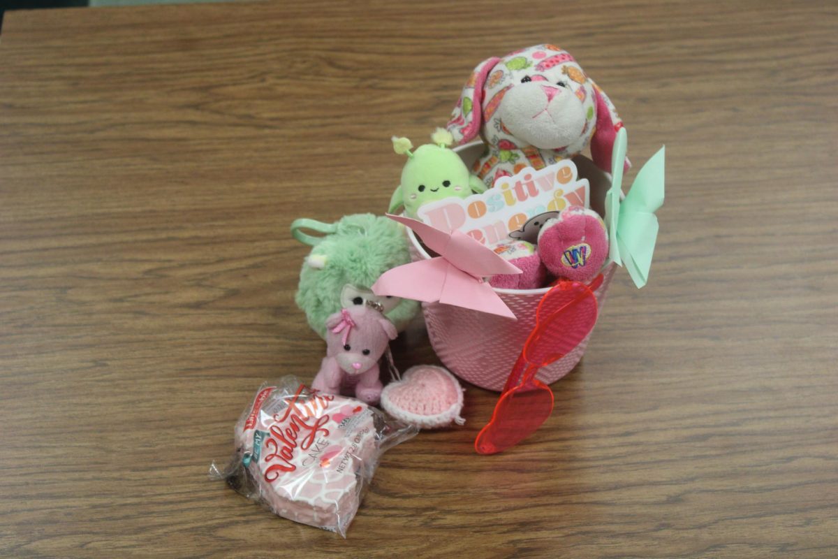 This photo displays the bundle of gifts in or next to a pink basket with the theme of the Holiday Valentine's Day. It shows Plush animals, Handmade gifts, and a treat to snack on.