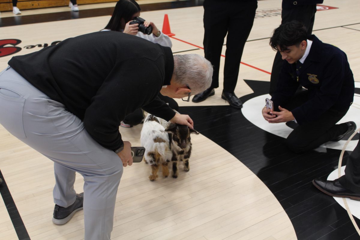 Principal Matt Jones petting the four-week old goats.