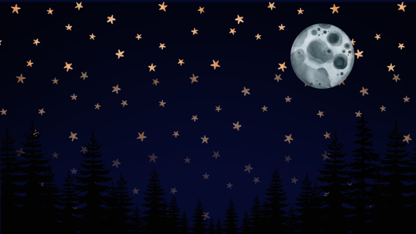 The Full Moon on a starry night.