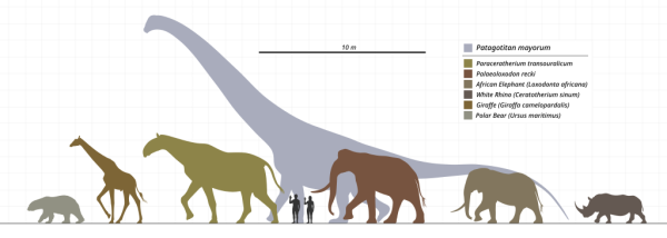 The size of these specific extinct animals is what brings fear to humans.(Steveoc 86, CC BY-SA 4.0 , via Wikimedia Commons)