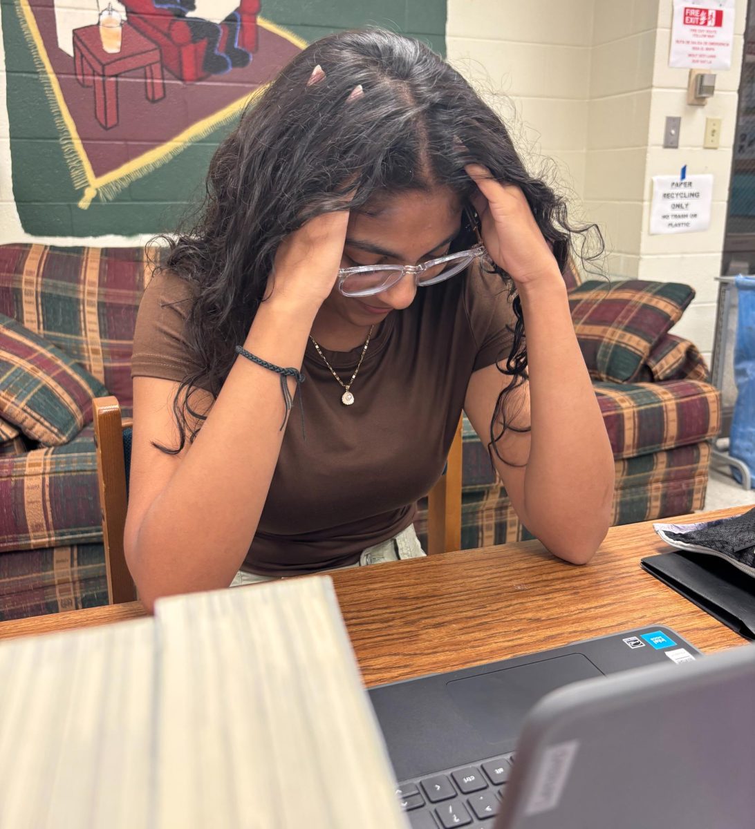 Freshman Visha Patel gets stressed over different classes, such as Biology Honors.