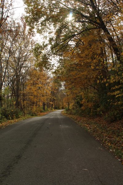 This is one of the many roads in Logansport, Indiana during fall.