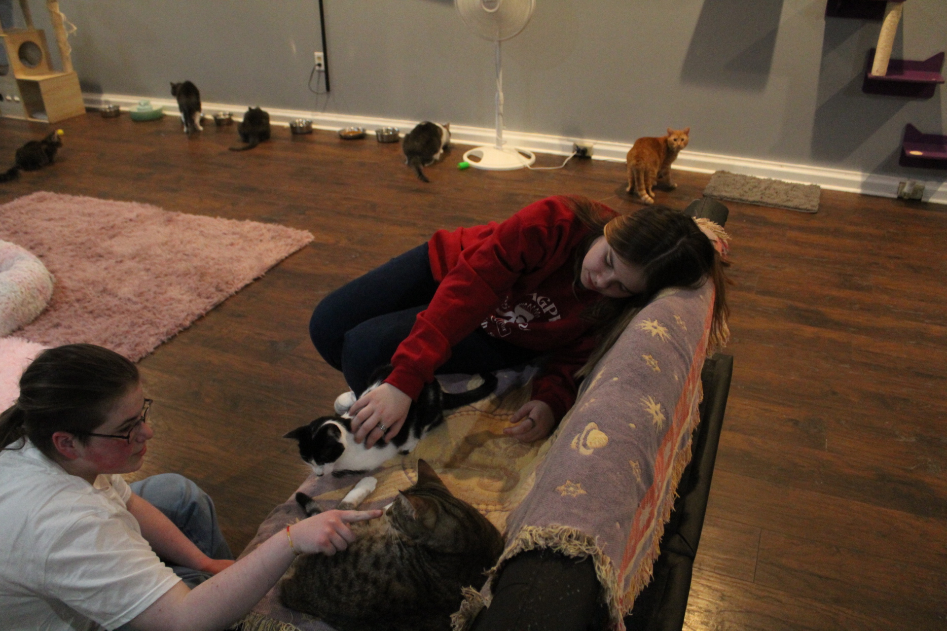 Junior Lilly Biggs and sophomore Corrallyn Dillon play with cats at the the Catio Cat Lounge.