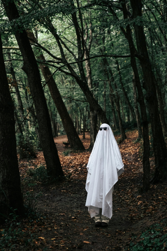 Person dressed as a ghost in a forest. (Person Dressed as a Ghost in a Forest/Ahmed/Pexels/Free to Use)
