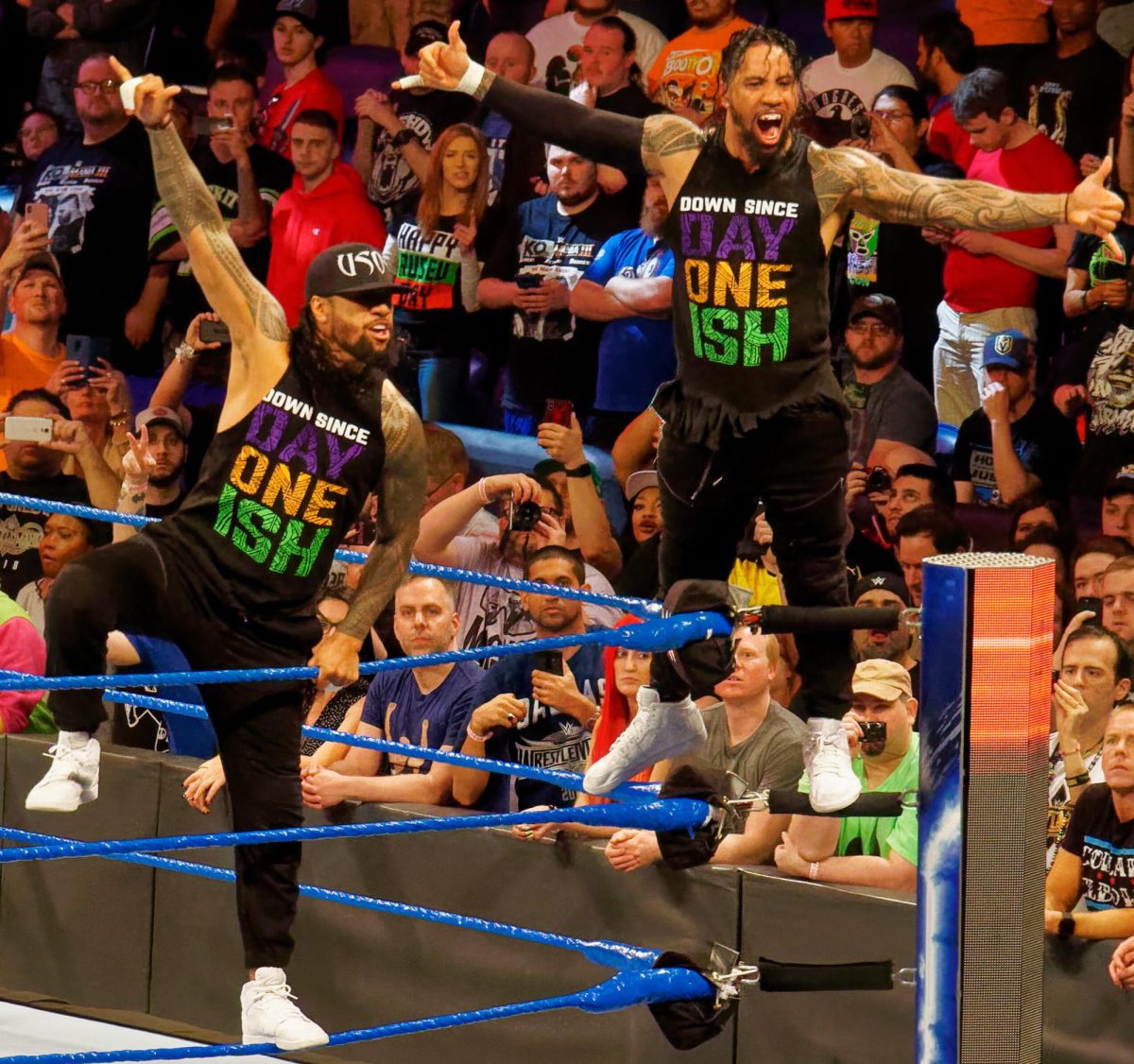 The_Usos_at_WWE_SmackDown_Live_(cropped)