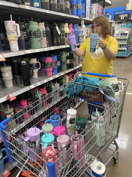 An example of a person not being able to decide between two things so they end up buying more than necessary